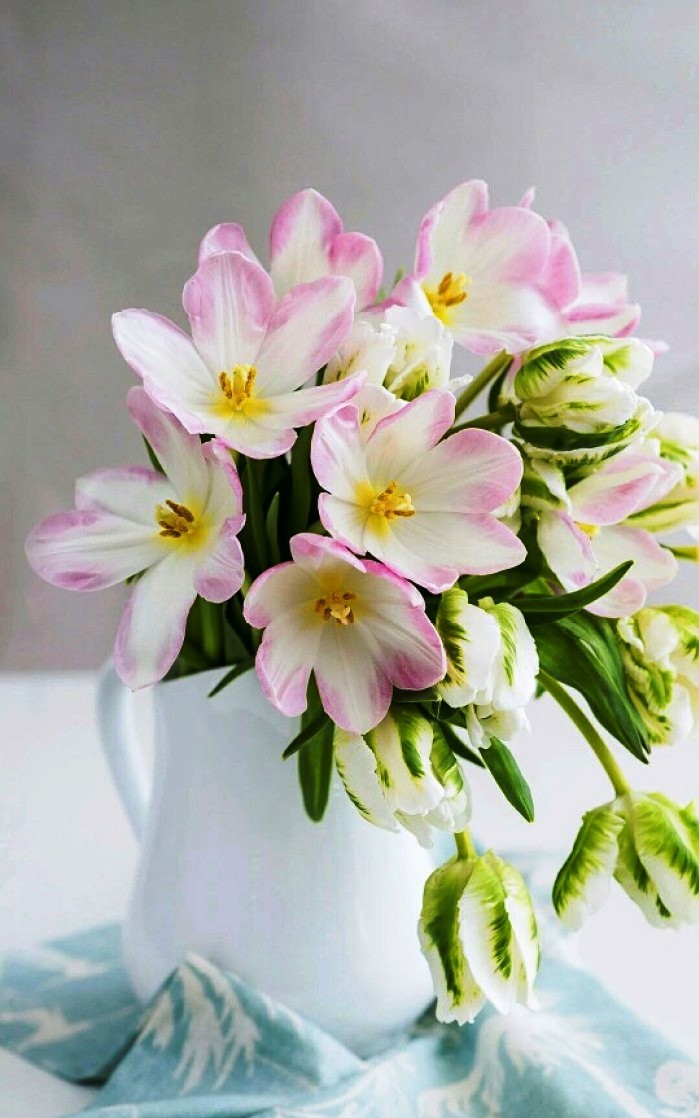 「生活万万千」富含哲理的人生感悟，寓意深刻，值得细细品读