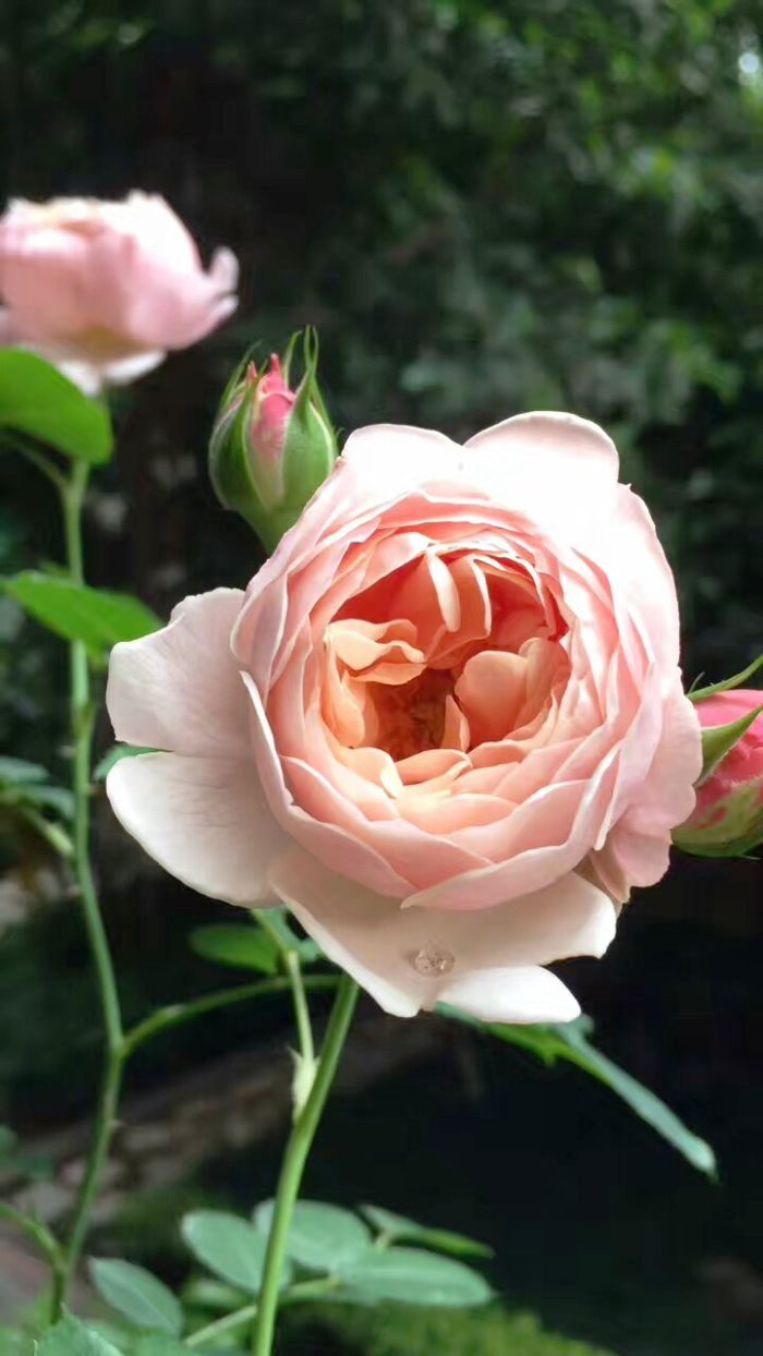 「生活万万千」富含哲理的人生感悟，寓意深刻，值得细细品读