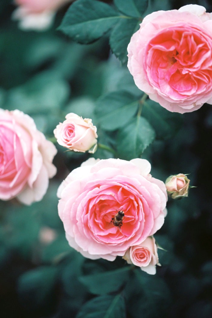 「生活万万千」富含哲理的人生感悟，寓意深刻，值得细细品读