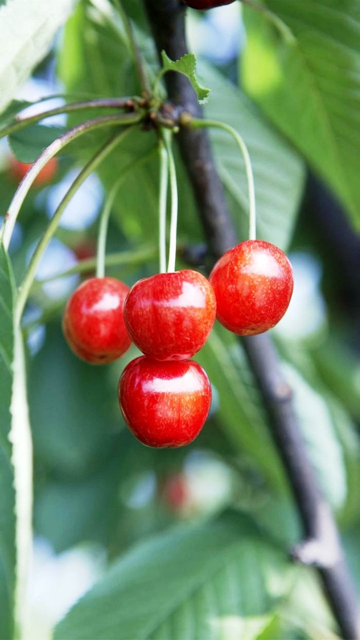 「生活万万千」富含哲理的人生感悟，寓意深刻，值得细细品读