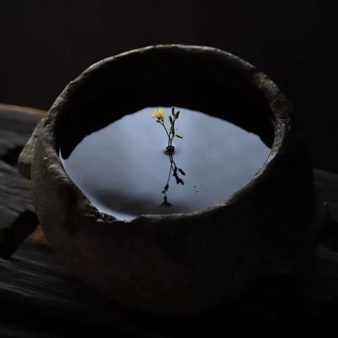 #东方守艺人#相处舒服，就是最好的养生