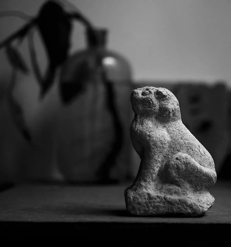 #东方守艺人#相处舒服，就是最好的养生