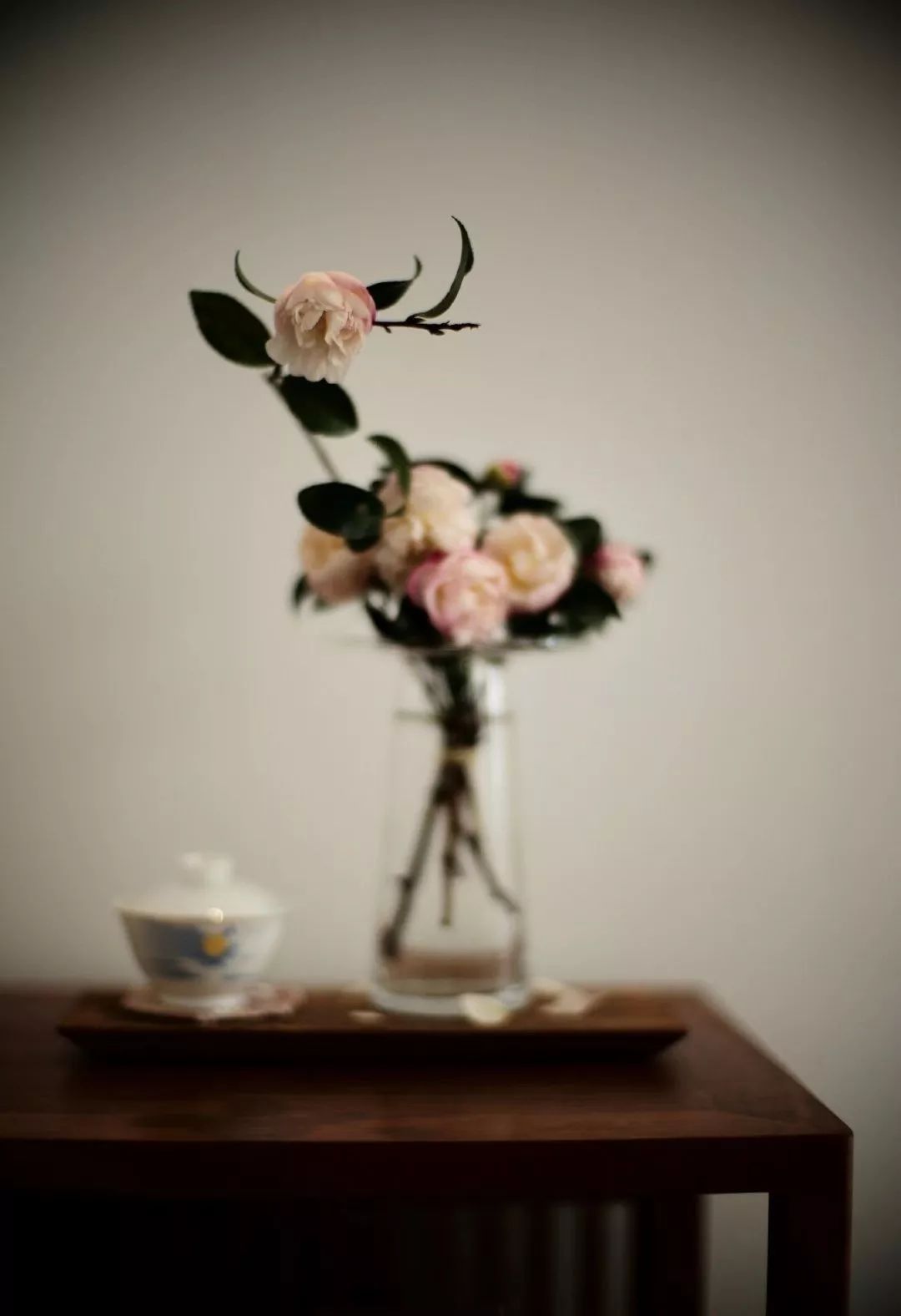 #东方守艺人#相处舒服，就是最好的养生