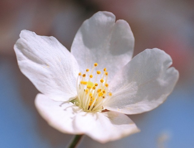 「科技的宇宙漩涡」十分不懂女人心的三大生肖，不太会讲话，吵架冷战不间断