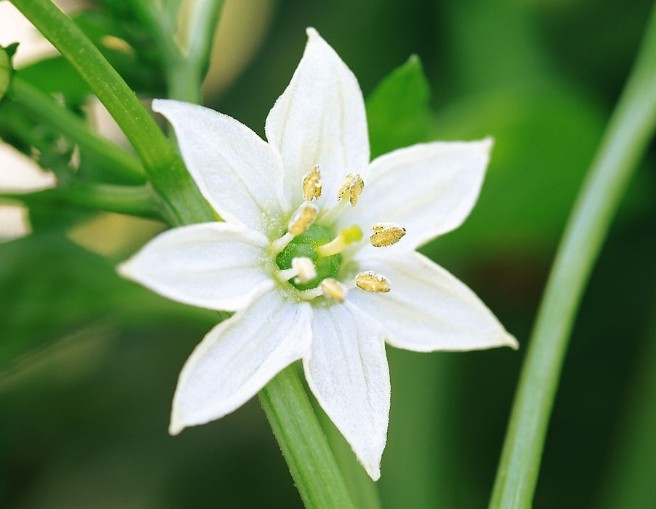 科技的宇宙漩涡■十分不懂女人心的三个生肖，不太会讲话，不懂得退让