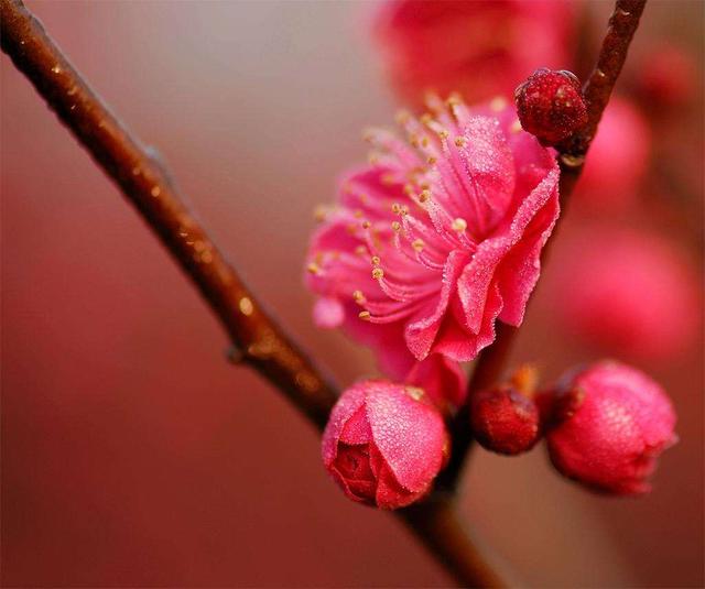 「千里情说」“高瞻远瞩”终成废材，“鼠目寸光”才是大智慧