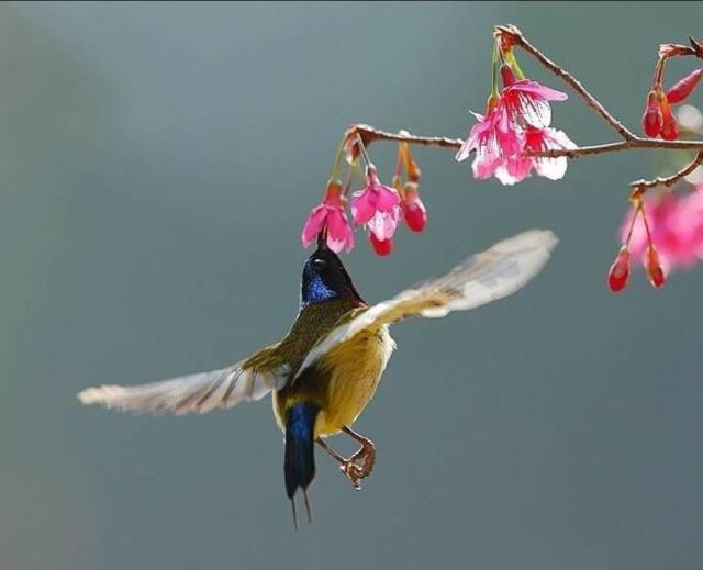 #懂个情感#放宽心态的感悟句子，句句启迪人心！