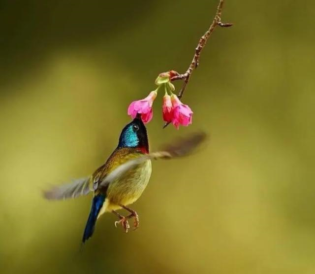 #懂个情感#放宽心态的感悟句子，句句启迪人心！