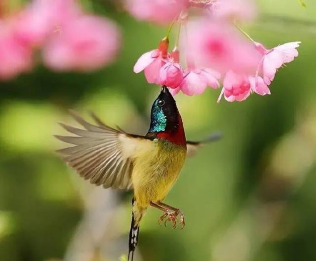 #懂个情感#放宽心态的感悟句子，句句启迪人心！