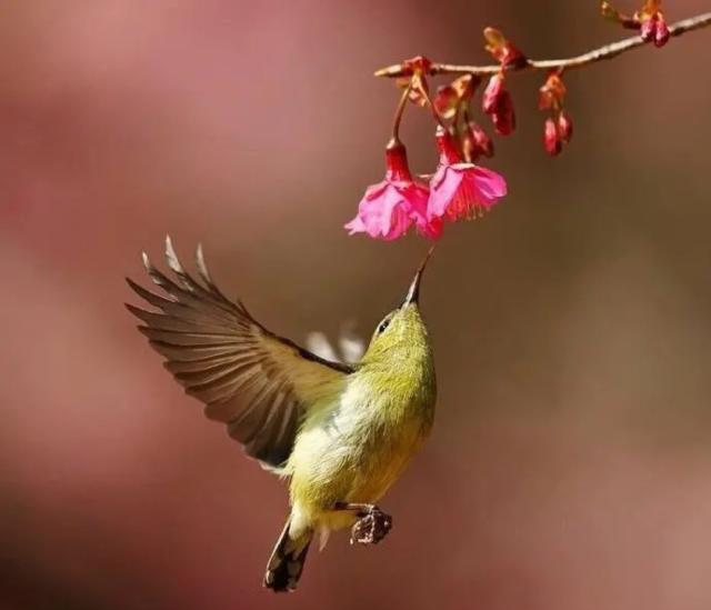 #懂个情感#放宽心态的感悟句子，句句启迪人心！