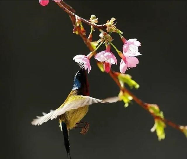 #懂个情感#放宽心态的感悟句子，句句启迪人心！