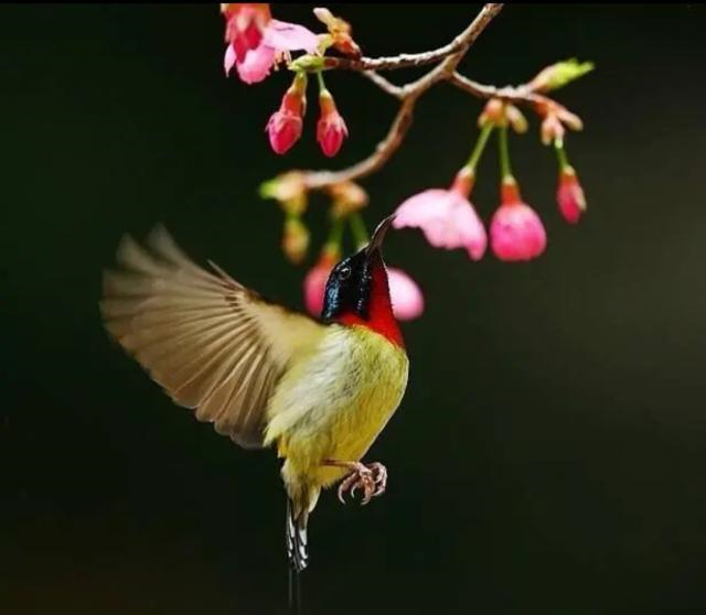 #懂个情感#放宽心态的感悟句子，句句启迪人心！