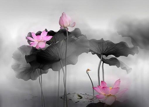 卡酷弟弟：深奥难懂的精妙禅语，静下心来好好看看！