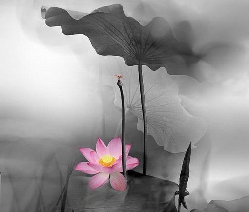 卡酷弟弟：深奥难懂的精妙禅语，静下心来好好看看！