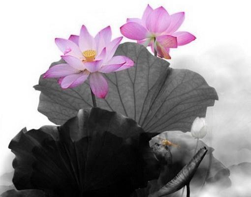 卡酷弟弟：深奥难懂的精妙禅语，静下心来好好看看！