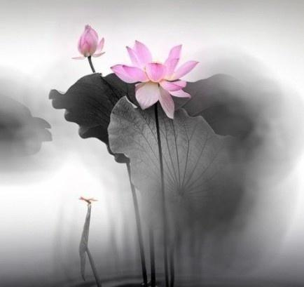 卡酷弟弟：深奥难懂的精妙禅语，静下心来好好看看！