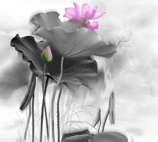 卡酷弟弟：深奥难懂的精妙禅语，静下心来好好看看！