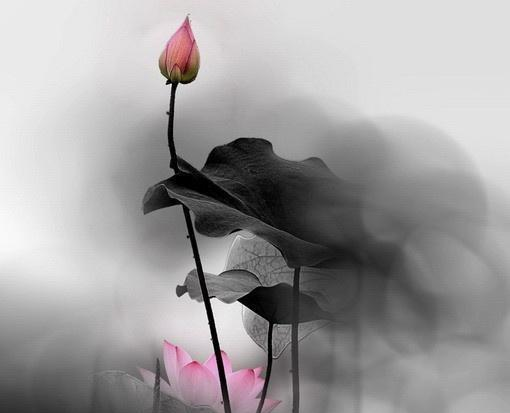 卡酷弟弟：深奥难懂的精妙禅语，静下心来好好看看！