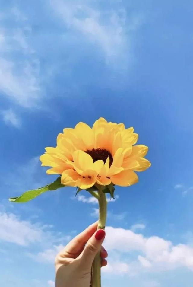 「柠檬美文」精神层次越高，人就越善良