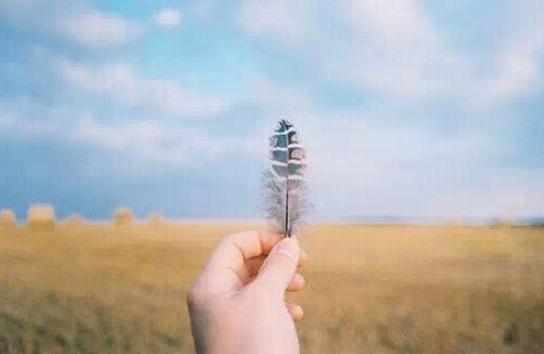 「小书仲」做人以善心为贵，做事以尽心为好