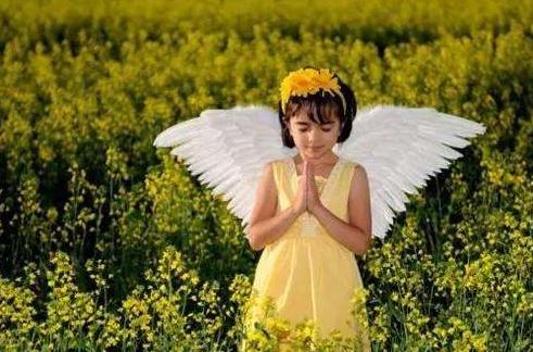 「小书仲」做人以善心为贵，做事以尽心为好