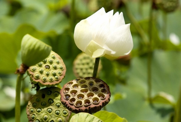 宇宙科技的超人@天生“直男癌”的三个生肖男，经常和妻子计较，从来不懂浪漫