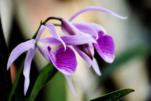 励志司机睿睿：人生，活的就是一个静字