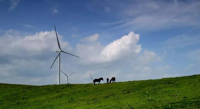 创业之路漫漫：寻找一个可以倾诉的人