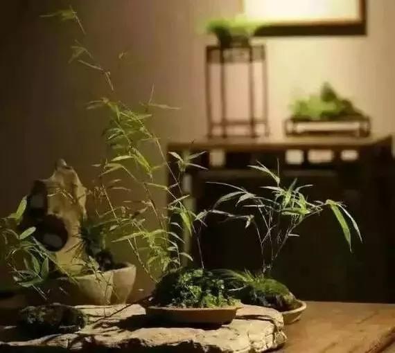 创业之路漫漫：寻找一个可以倾诉的人