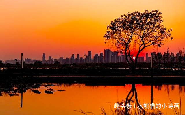 水熊猫的小诗画：雨总是一场比一场凉，萧瑟中，秋开始裸露真相