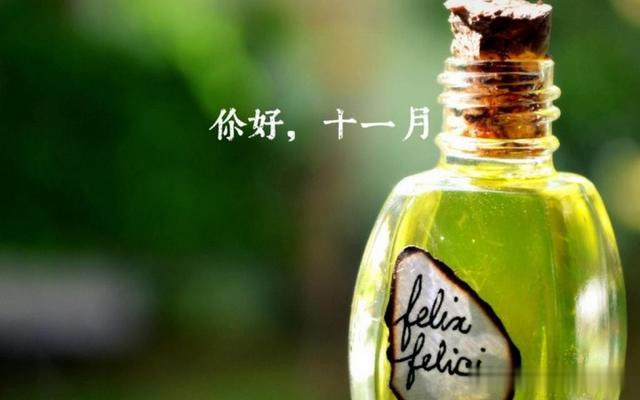 [英语演讲]10月再见，11月你好！致我在乎的你！