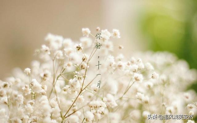 [英语演讲]10月再见，11月你好！致我在乎的你！