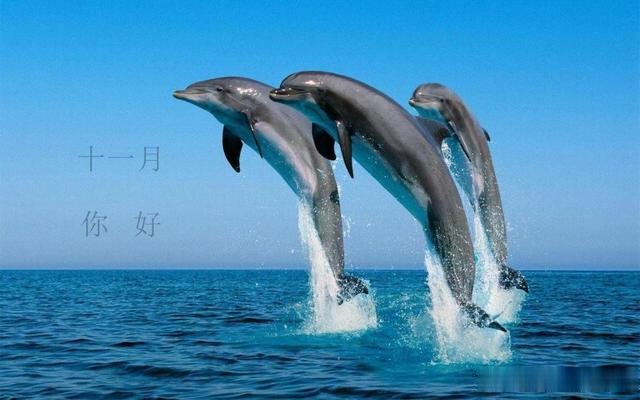 [英语演讲]10月再见，11月你好！致我在乎的你！