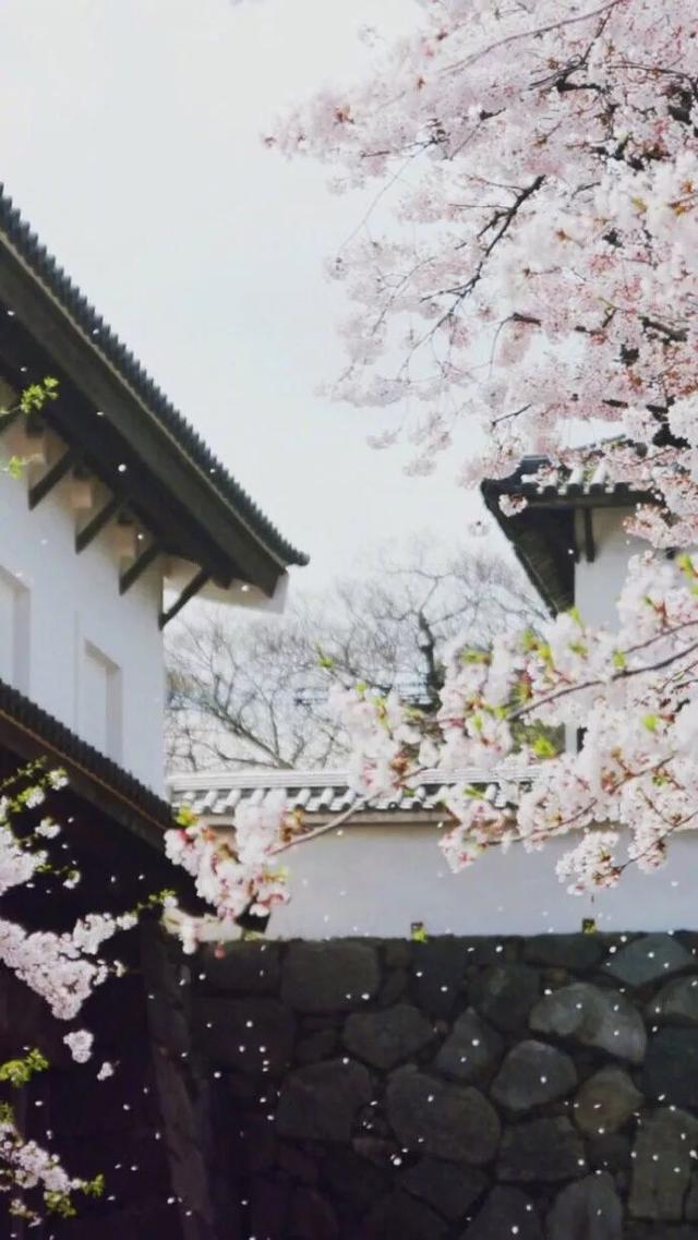 #捡书先生#“有些还未重逢的人，我很早就在心底备下了你好”