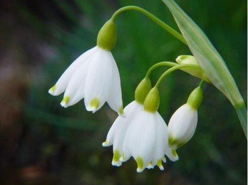 [励志的娱乐]要想比别人优秀，就要付出十分的努力