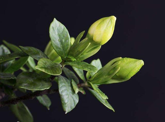 [励志的娱乐]要想比别人优秀，就要付出十分的努力