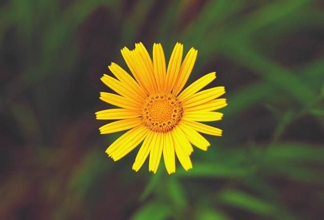 [励志的娱乐]要想比别人优秀，就要付出十分的努力