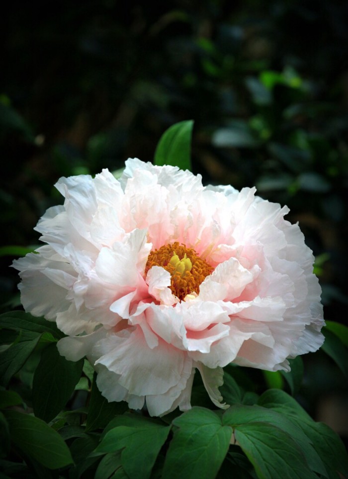 人生阅历分享@睿智走心的人生感悟，字字珠玑，引人深思