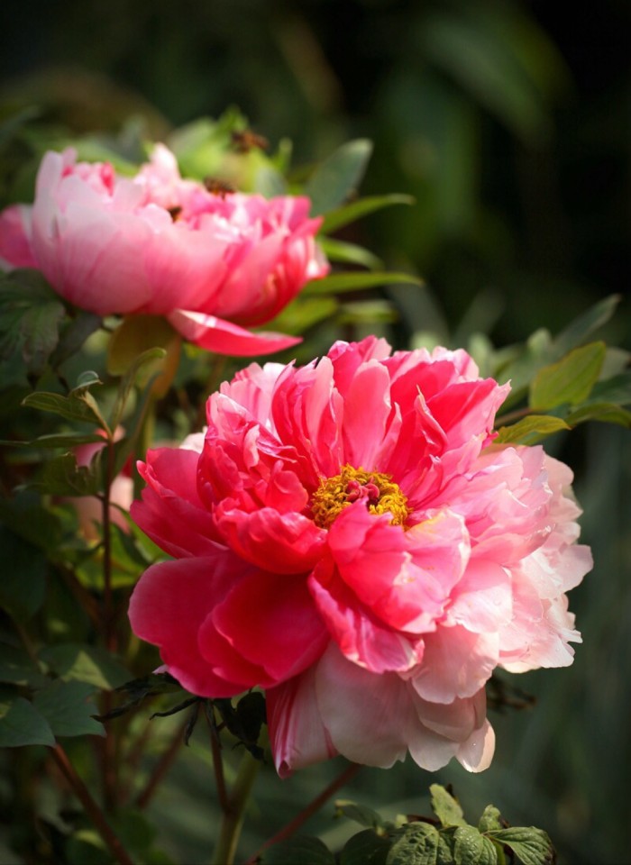 人生阅历分享@睿智走心的人生感悟，字字珠玑，引人深思