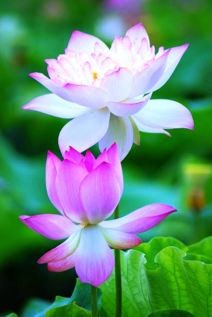 人生阅历分享@睿智走心的人生感悟，字字珠玑，引人深思