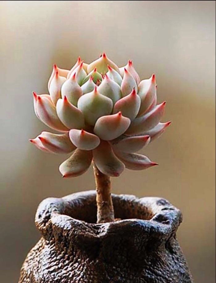 人生阅历分享@睿智走心的人生感悟，字字珠玑，引人深思