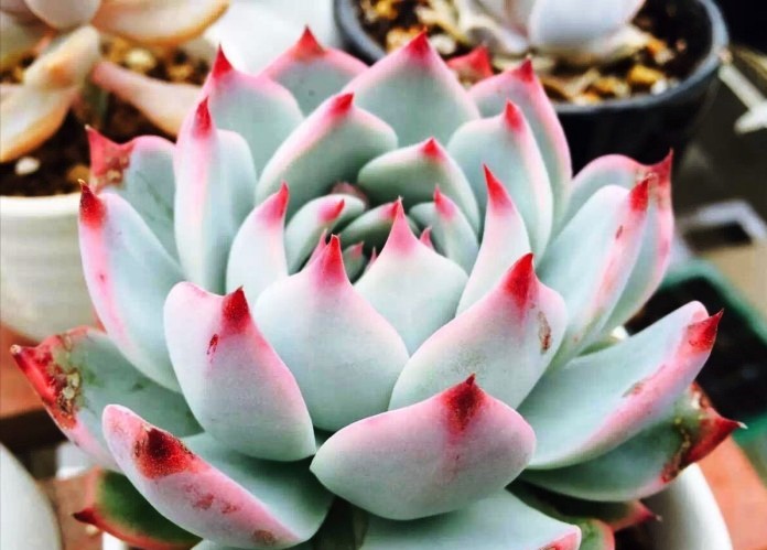 人生阅历分享@睿智走心的人生感悟，字字珠玑，引人深思