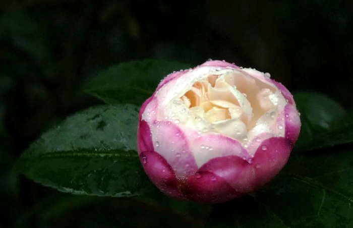 人生阅历分享@睿智走心的人生感悟，字字珠玑，引人深思