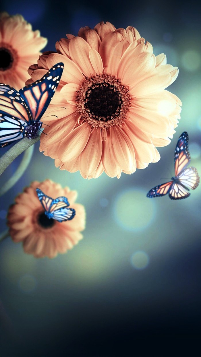 人生阅历分享@睿智走心的人生感悟，字字珠玑，引人深思