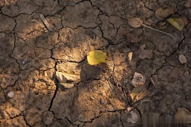 #中国矿业大学#成长物语|哪个瞬间，你发现自己还没有准备好就长大了？