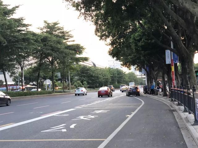 「有车以后」路边停车千万注意，一不小心就罚款+扣分