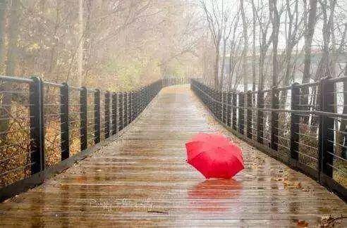 「光明网」夜读｜如果有一天，最亲的人忘了你