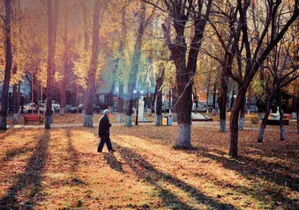 「光明网」夜读｜如果有一天，最亲的人忘了你