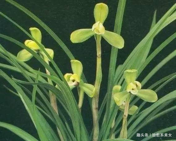 治愈系美女：文艺走心的句子，写的精辟，一句顶一万句