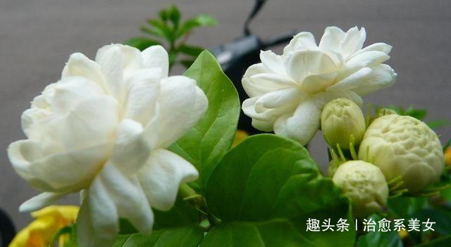 治愈系美女：文艺走心的句子，写的精辟，一句顶一万句